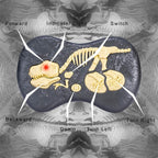 ⏰Kids' Gifts 💥 Remote Control Dinosaur Jurassic T Rex Toys for Boys Electronic RC Spray Raptor Walking Roaring Tyrannosaurus Rex Realistic 18.1" Rechargeable Birthday Gift for Kids Girls 3 4 5 6 7